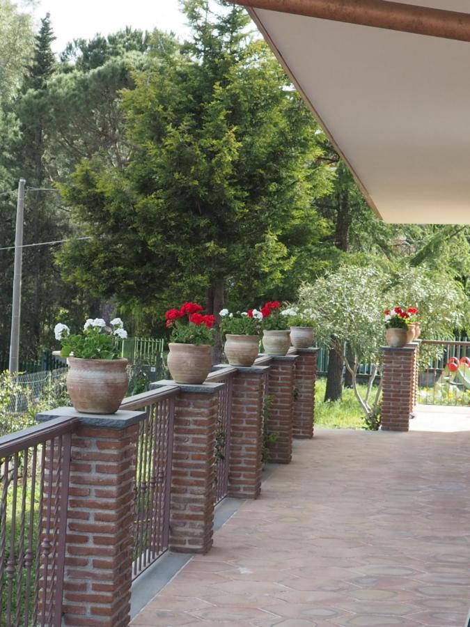 Etna Casa Del Sole Bed and Breakfast Nicolosi Exteriör bild